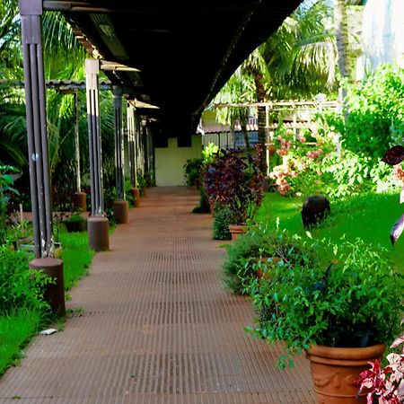 Velinn Hotel Natureza Foz Фос ду Игуасу Екстериор снимка