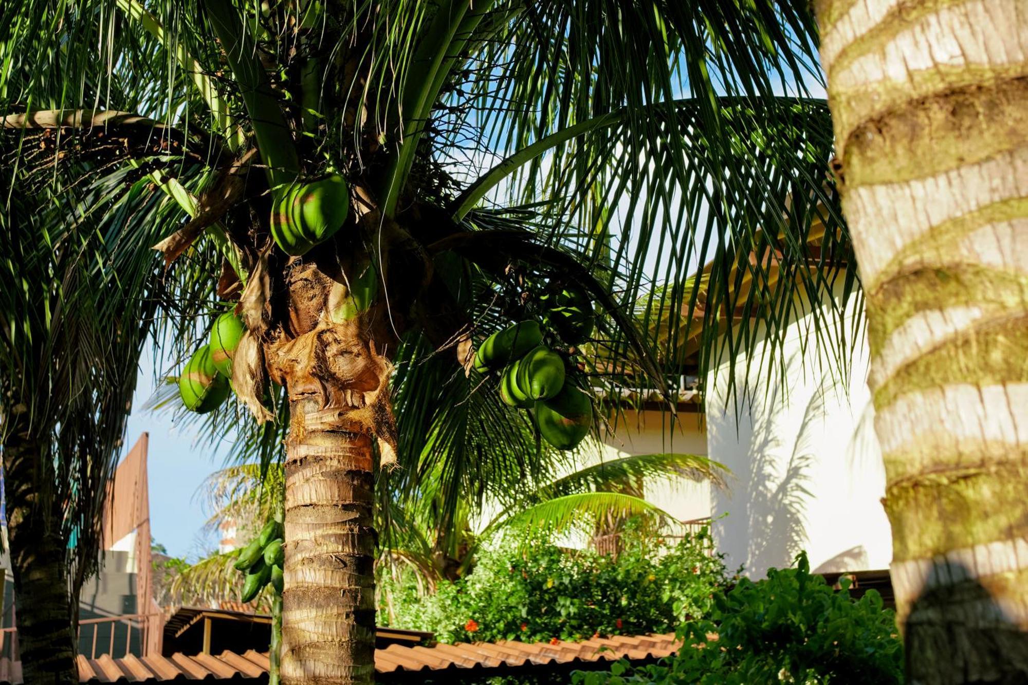 Velinn Hotel Natureza Foz Фос ду Игуасу Екстериор снимка